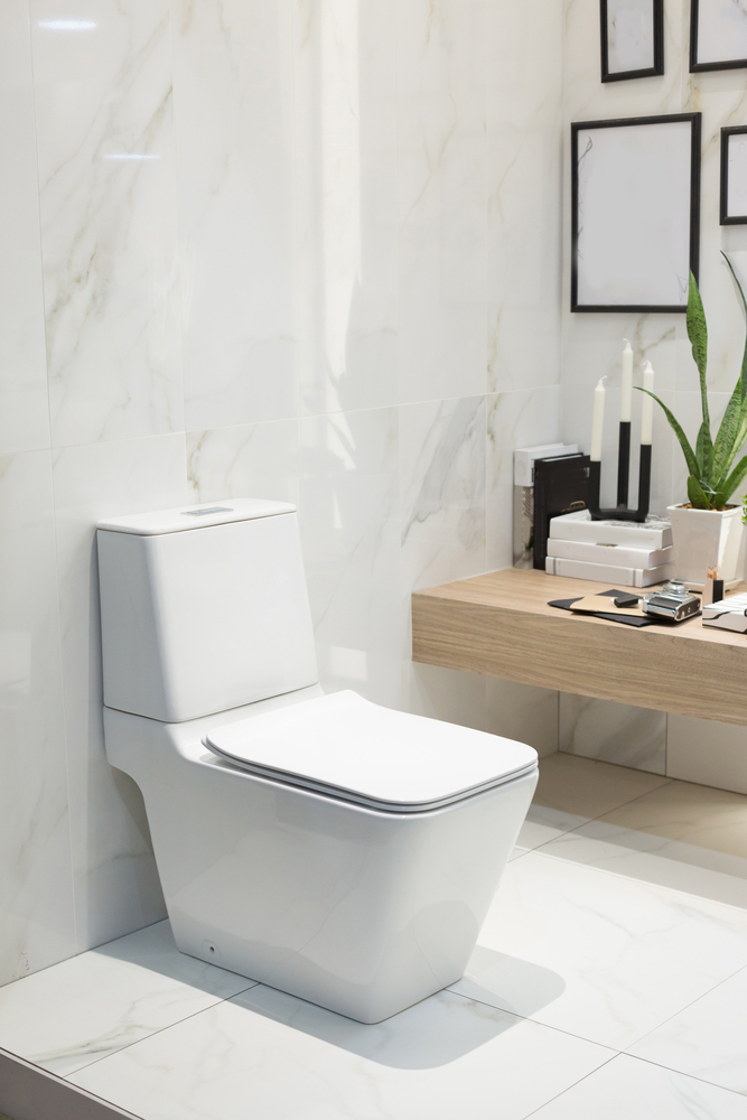 Smart tech toilet