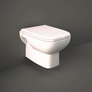 Wall Mounted Toilet