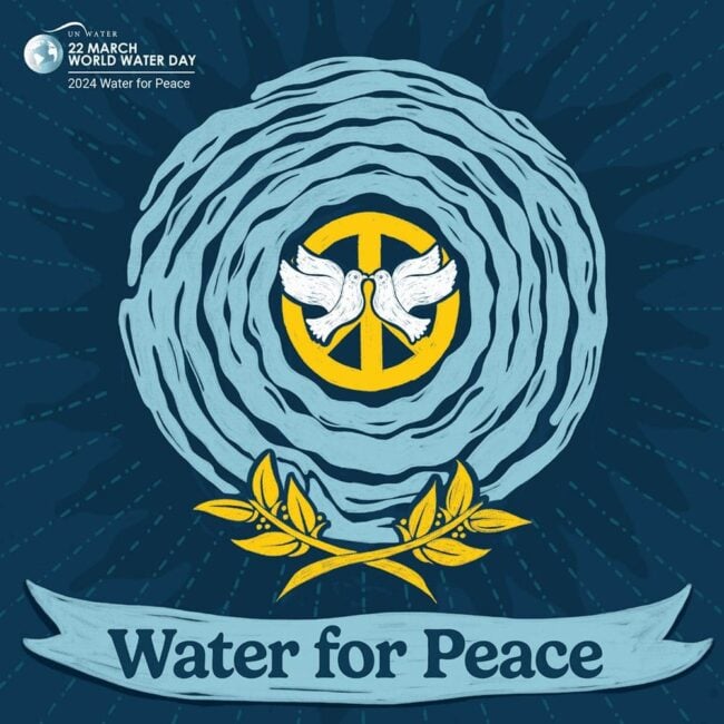 Bathroom Habits and World Water Day 2024
