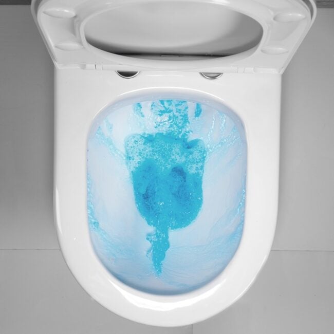 What is a Rimless Toilet?