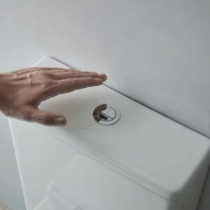 Toilet Flush (1)