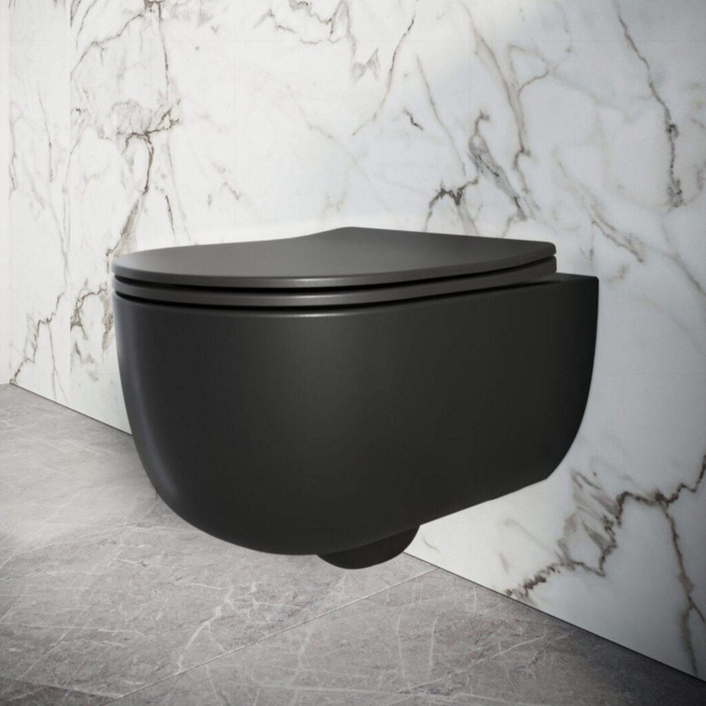 Wall Hung Toilet
