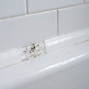 Bathroom Mould