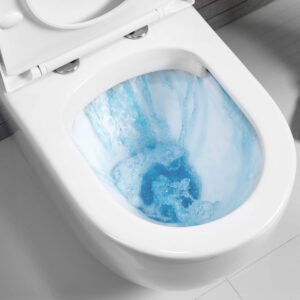 Flushing Toilet