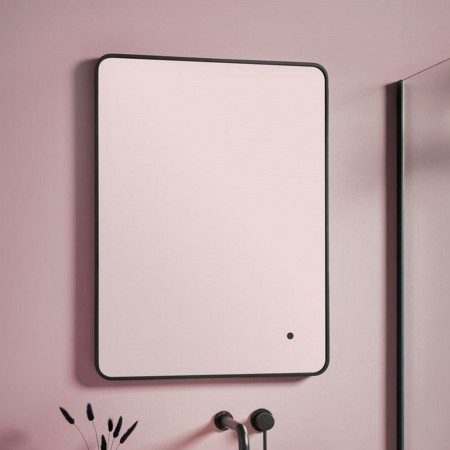 Black Bathroom Mirrors