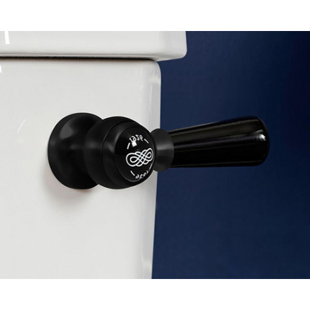Cistern Levers