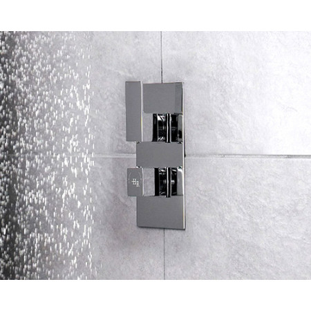 Hudson Reed Art Showers