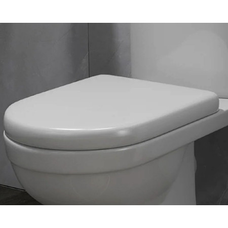Plastic Toilet Seats