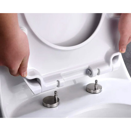 Quick Release Toilet Seats