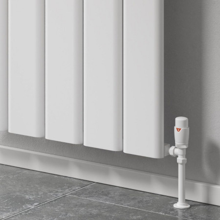 Reina Caldaro Aluminium Radiators