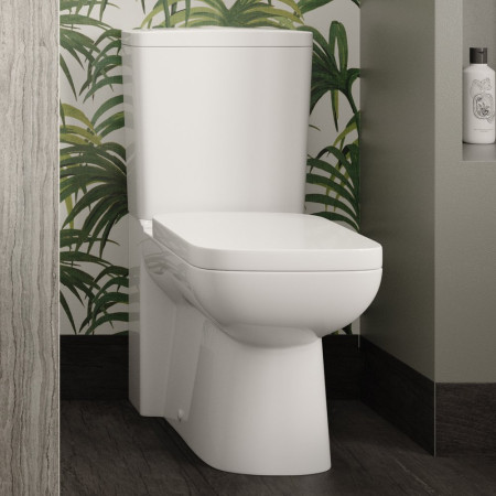 The Ultimate Toilet Buyer's Guide