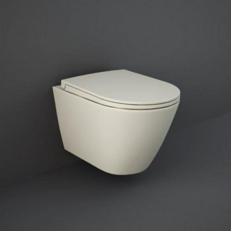 Wall Hung Toilets