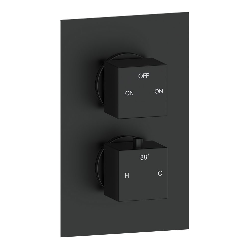 Ajax Hedon Matt Black Thermostatic Two Outlet Concealed Shower Valve