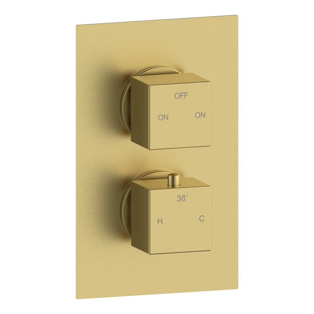 Ajax Hedon Brushed Brass Thermostatic Two Outlet Concealed Shower Valve