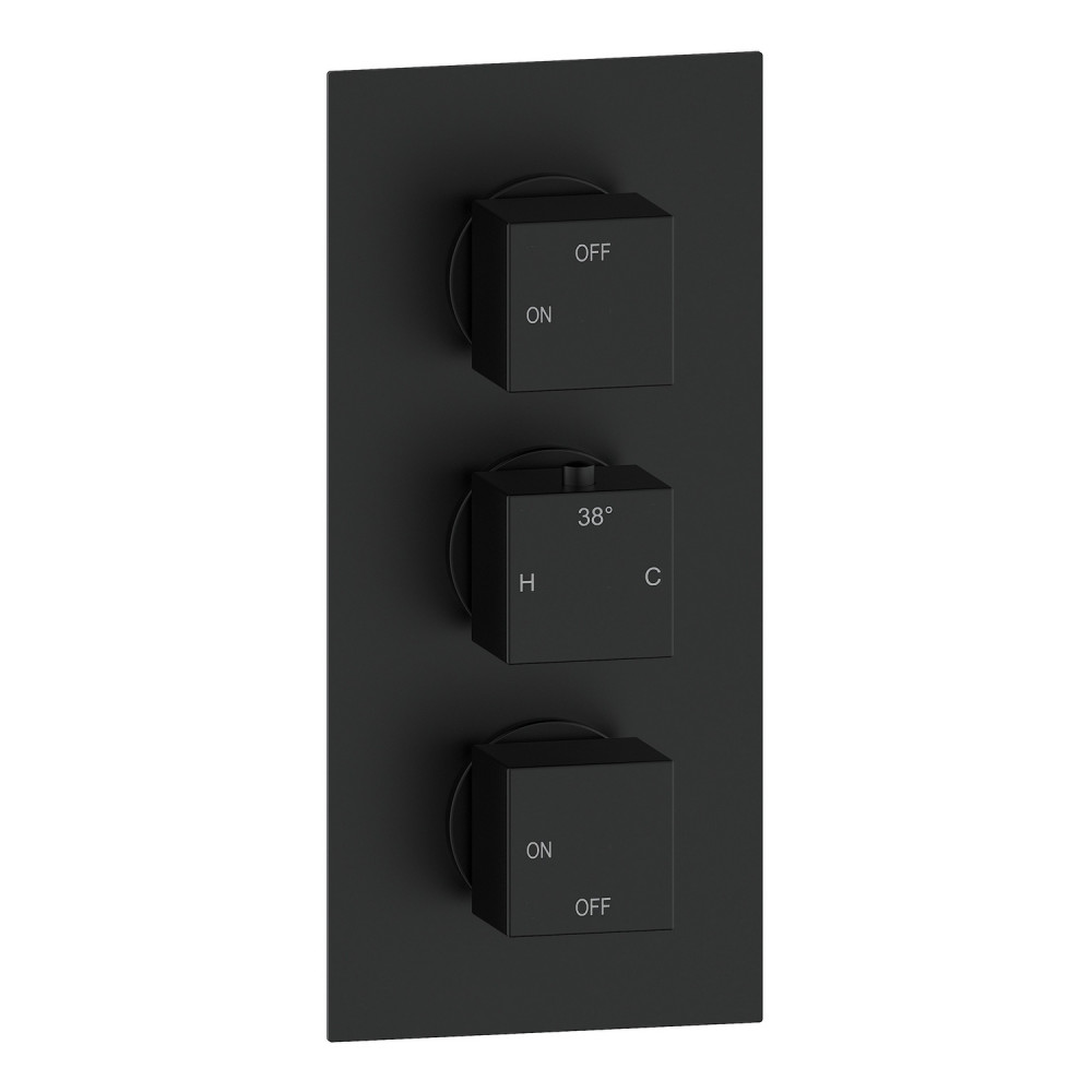 Ajax Hedon Matt Black Thermostatic Two Outlet Triple Concealed Shower Valve