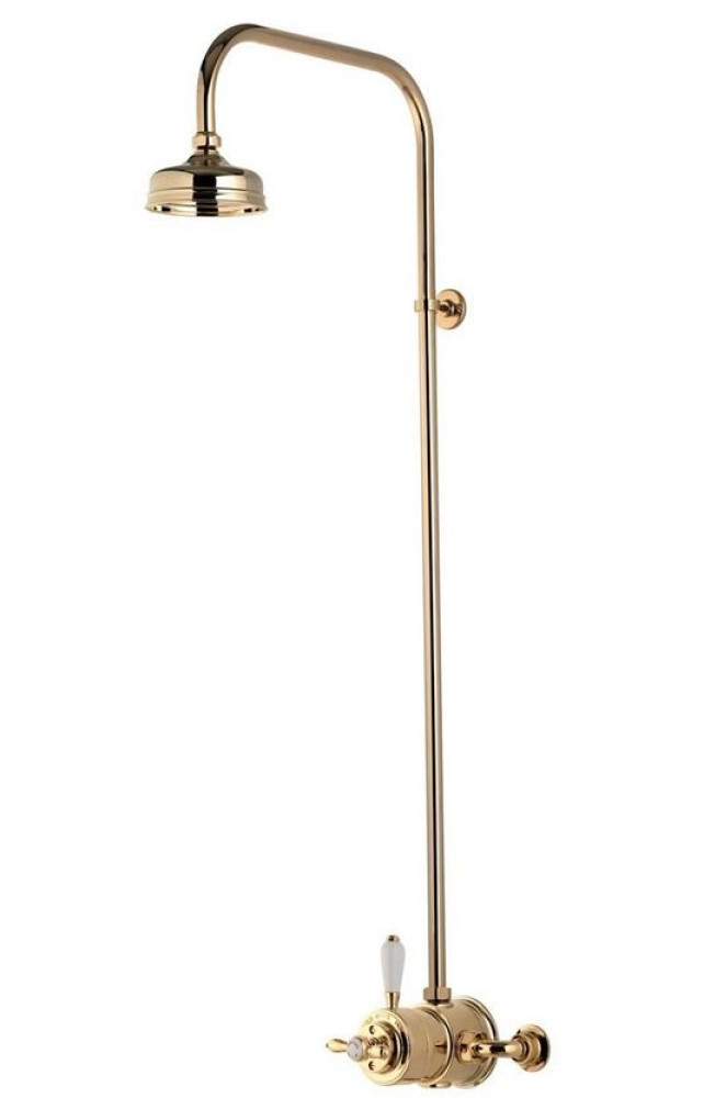 Aqualisa Aquatique Thermo Gold Exposed Shower Valve & Fixed  5 Inch Drencher Head