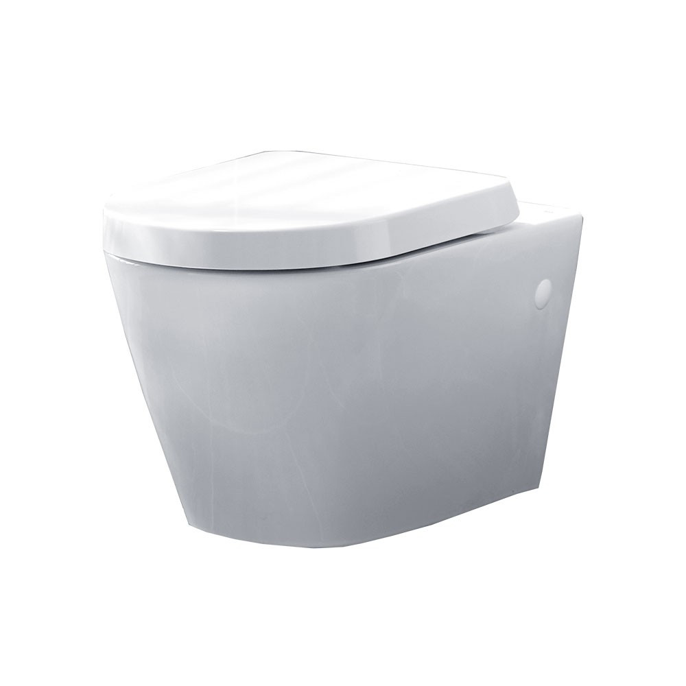 Essential Ivy Wall Mounted WC Pan (1)