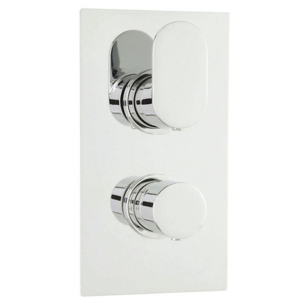 Hudson Reed Reign Twin Thermostatic Shower Valve (1)