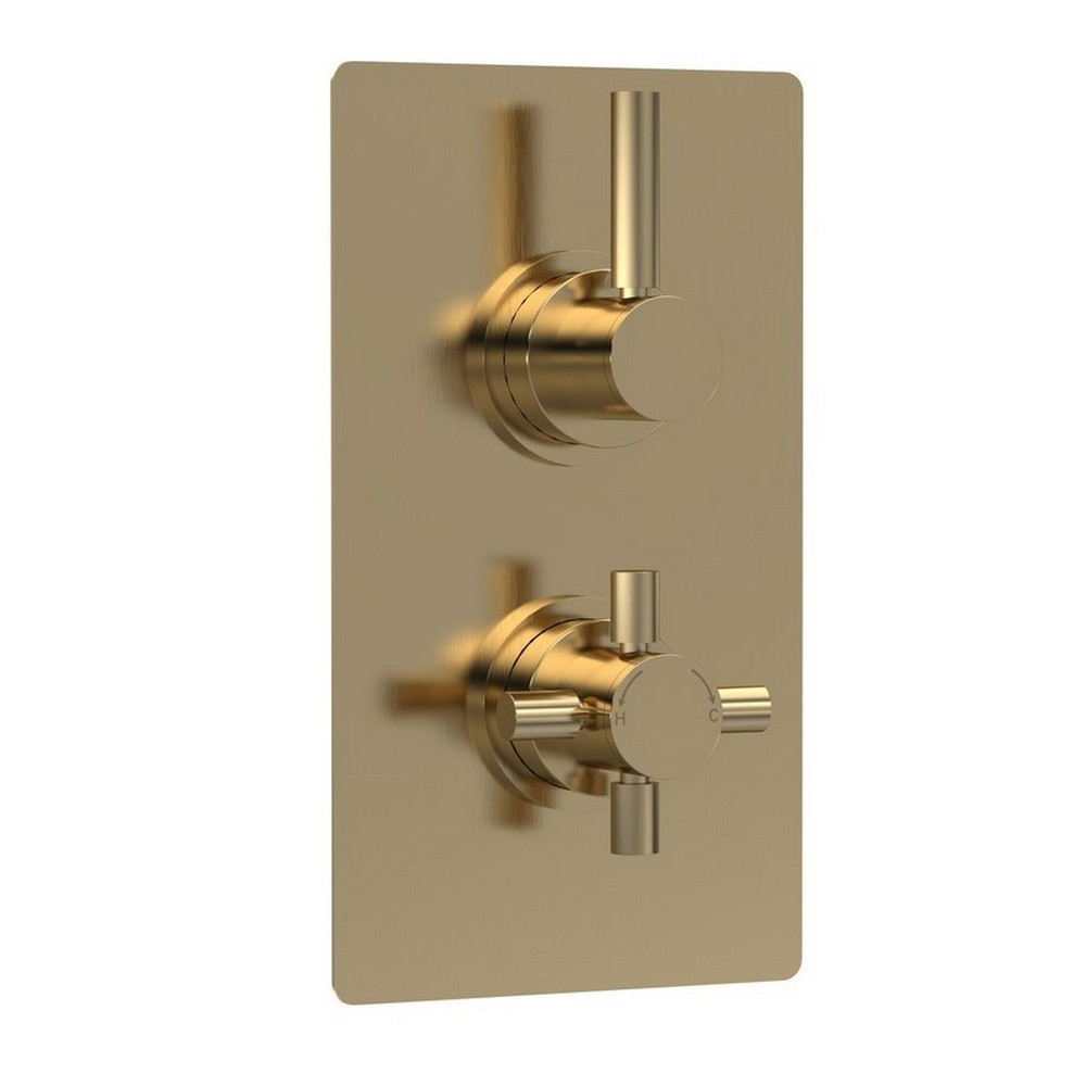 Hudson Reed Tec Twin Thermostatic Shower Valve in Brushed Brass (1)