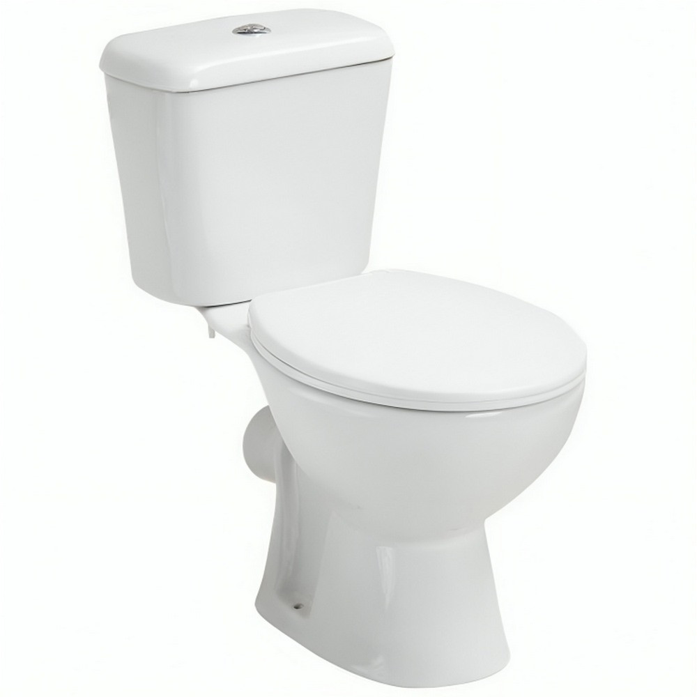 Kartell Proton Rimless WC with Soft Close Seat (1)