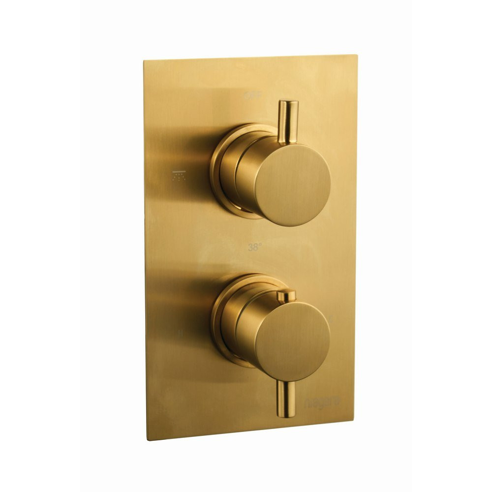 Niagara Equate Round Twin Brushed Brass Concealed Shower Valve