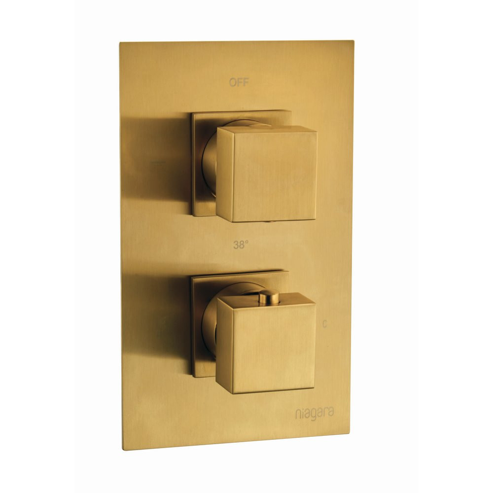 Niagara Observa Square Twin Brushed Brass Concealed Shower Valve