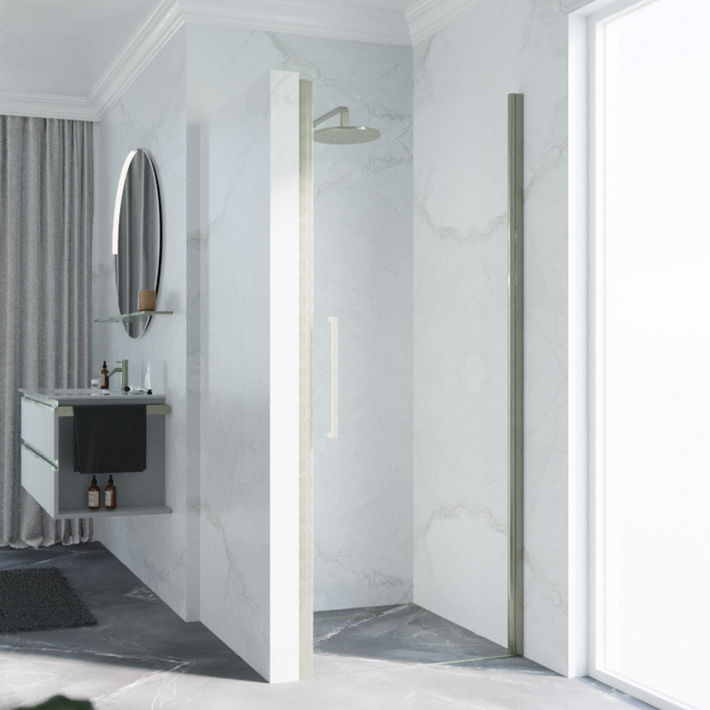 Novellini Young Plus 1B 1000mm Inox Hinged Shower Door