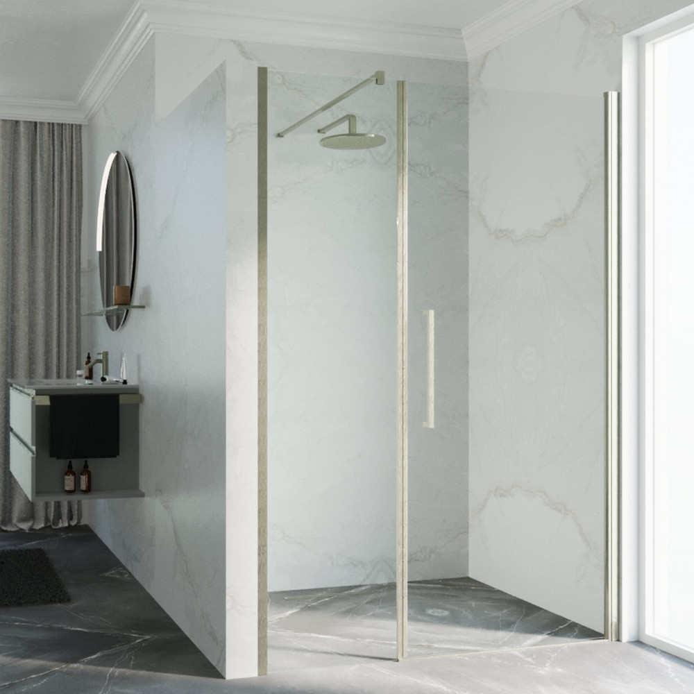 Novellini Young Plus G+F 1200mm Inox Hinged Shower Door and Inline Panel