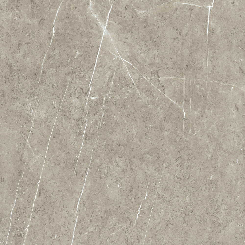 Nuance Sand Lightning Fossil 580mm Feature Wall Panel Swatch