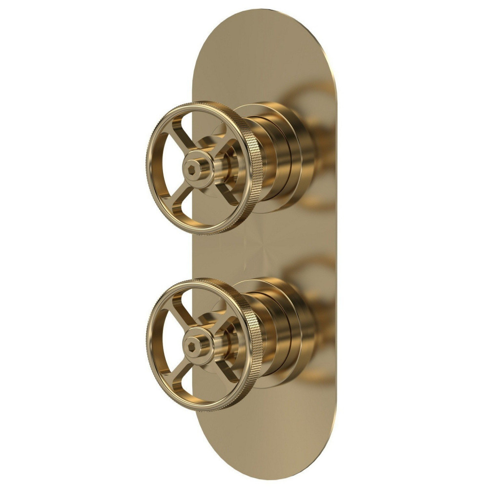 Nuie Revolution Industrial Twin Thermostatic Shower Valve in Brushed Brass