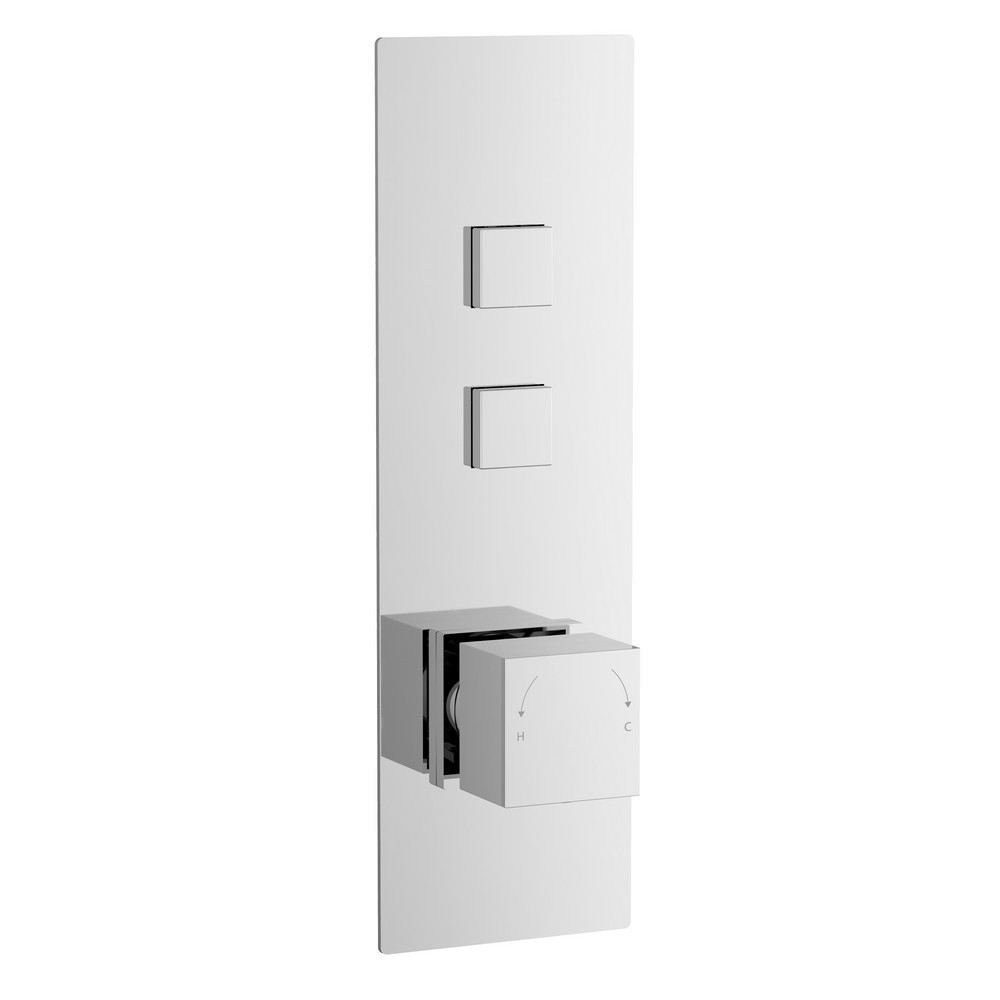Nuie Square Push Button Shower Valve with Two Outlets (1)
