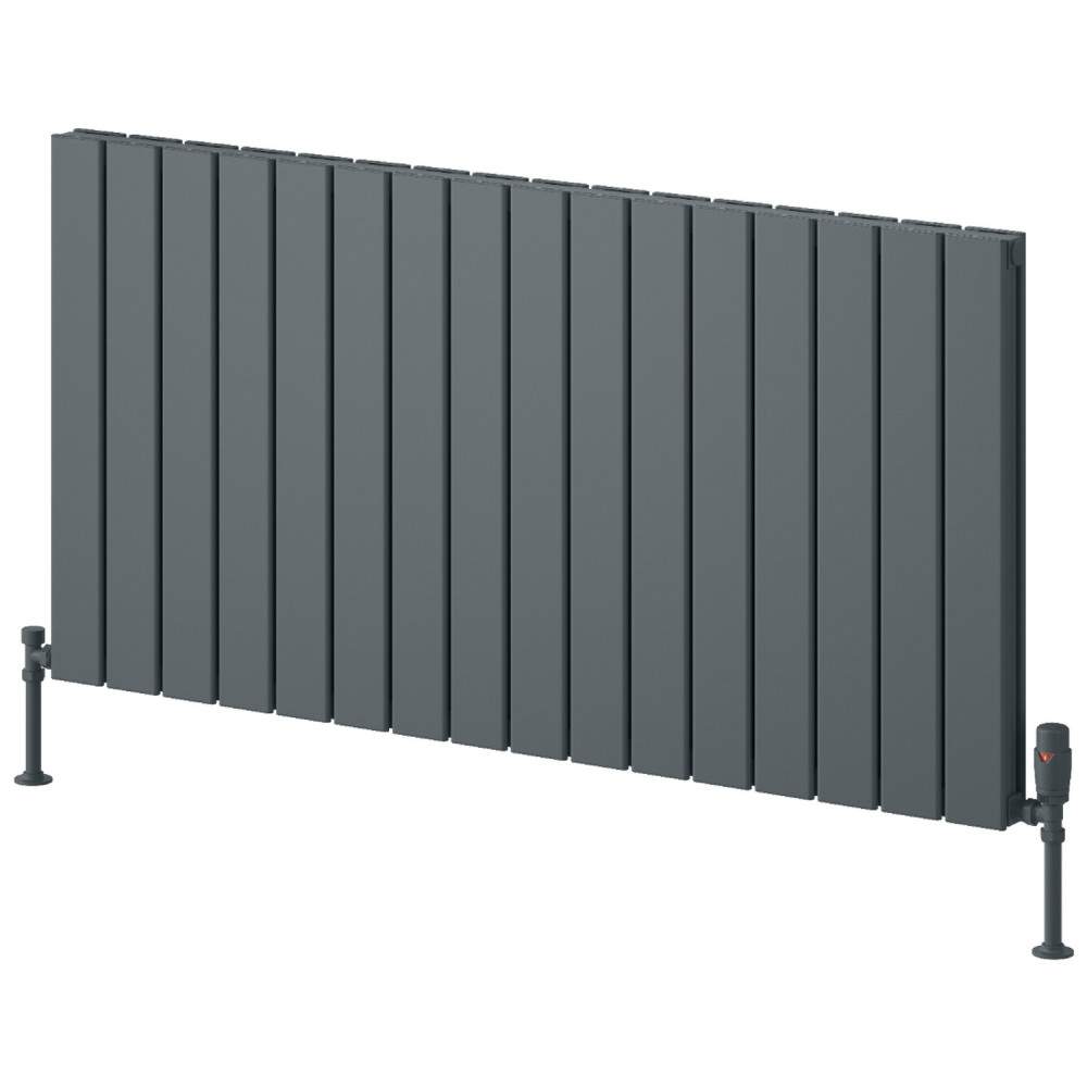 Reina Piatto 600 x 1195mm Anthracite Horizontal Aluminium Double Radiator