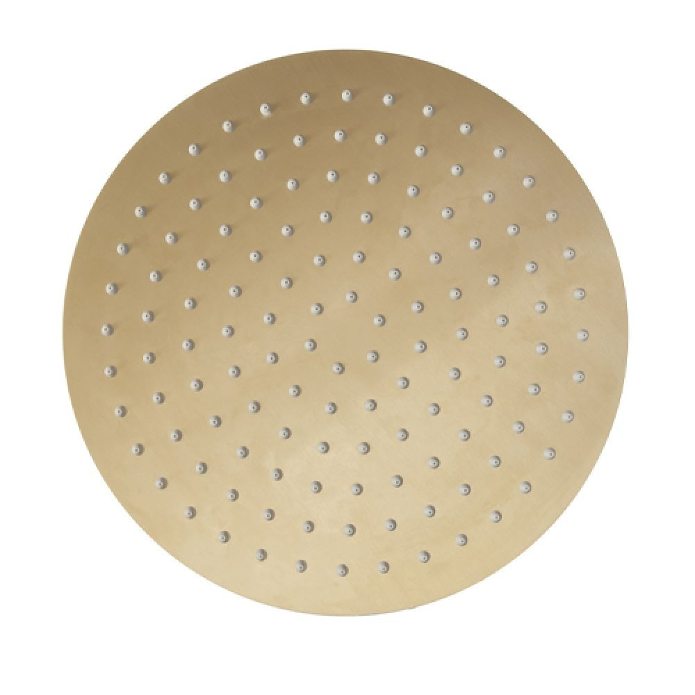 Roper Rhodes Round 250mm Brushed Brass Shower Head
