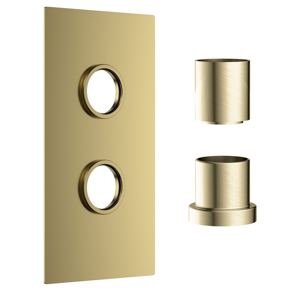 Scudo Concealed One Outlet Shower Valve with Brushed Brass Plate