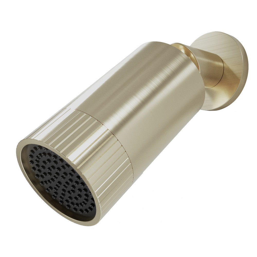 Scudo Core Spotlight Shower Head in Brushed Brass