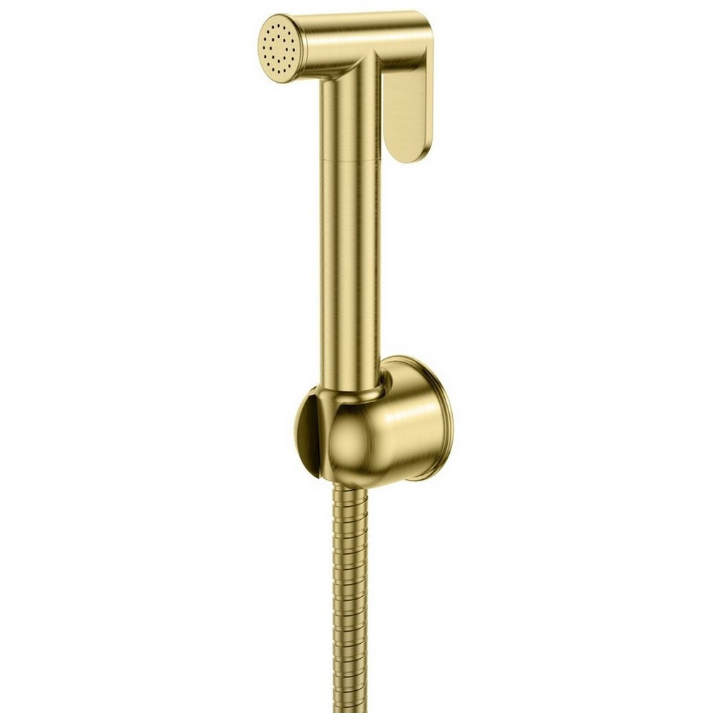 Scudo Douche Handset with Flexi Hose and Holder in Brushed Brass