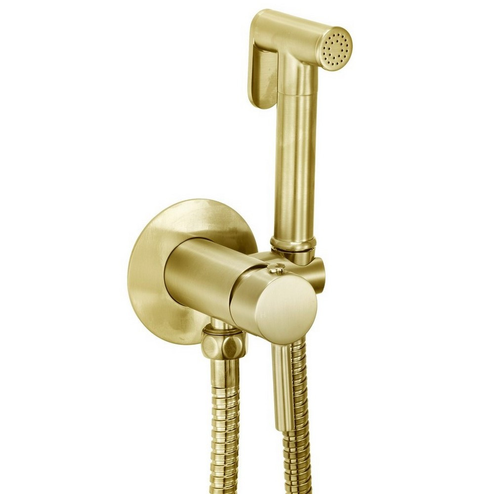 Scudo Douche Handset with Flexi Hose and Outlet Elbow in Brushed Brass