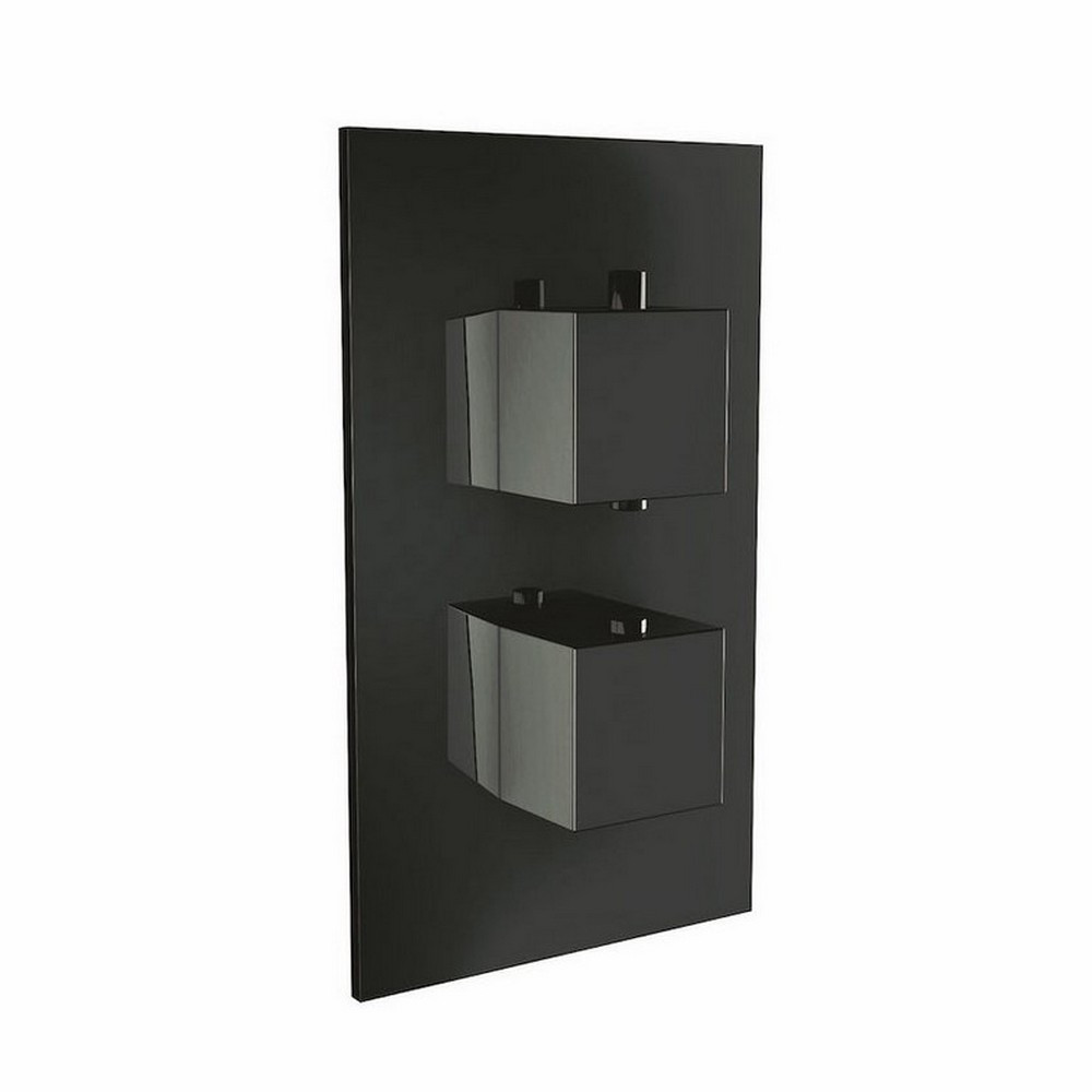 Scudo Dual Squared Handle Concealed Shower Valve in Black