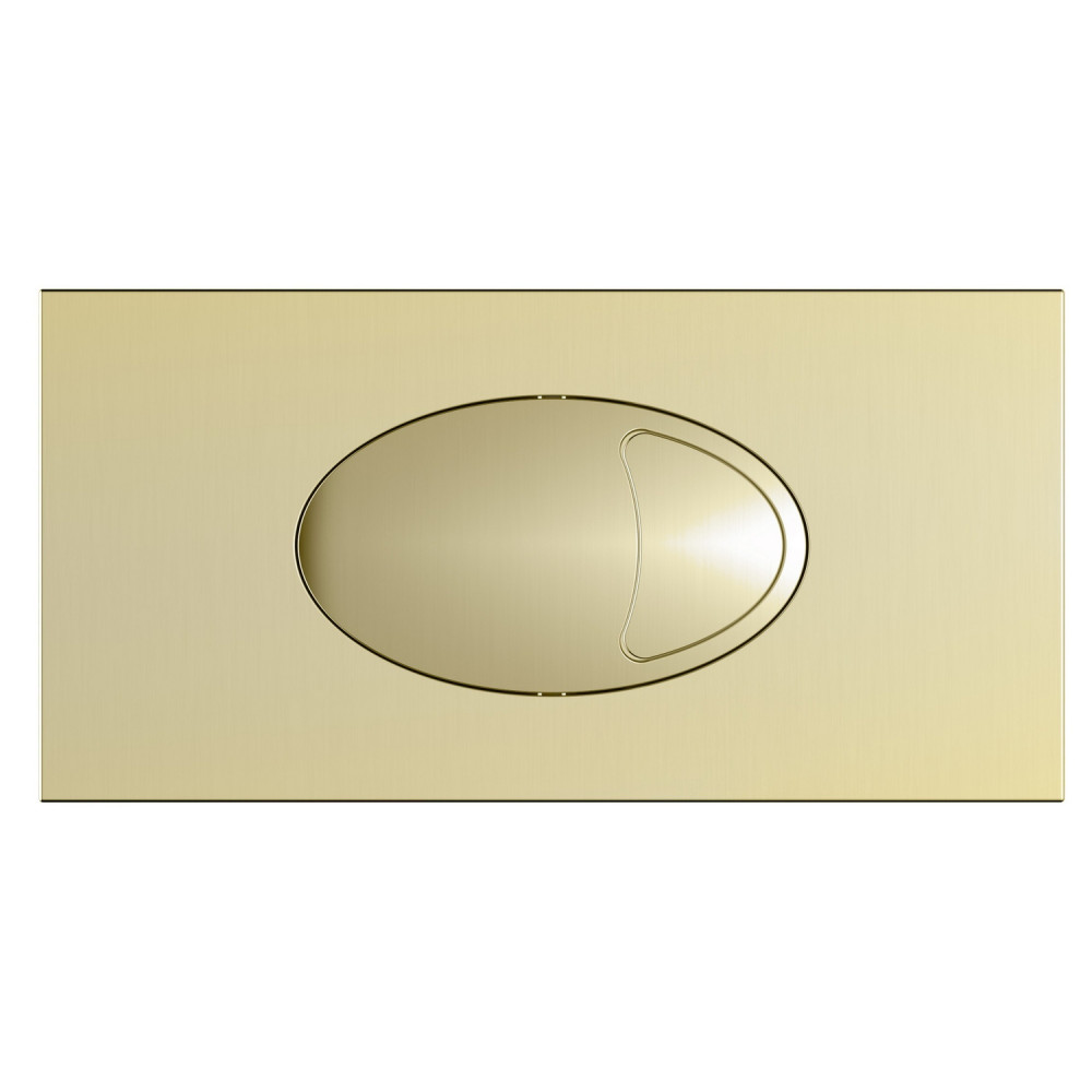 Scudo Large Brushed Brass Dual Flush Plate and Access Panel
