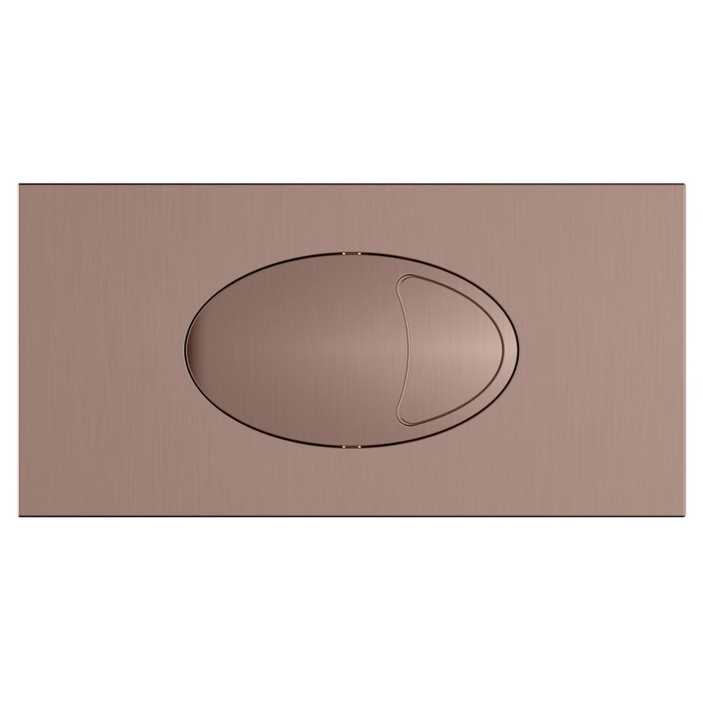 Scudo Large Brushed Bronze Dual Flush Plate and Access Panel
