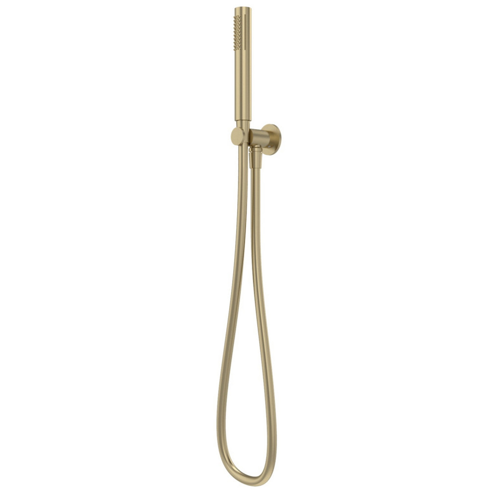 Tavistock Cohort Brushed Brass Shower Handset Outlet Kit
