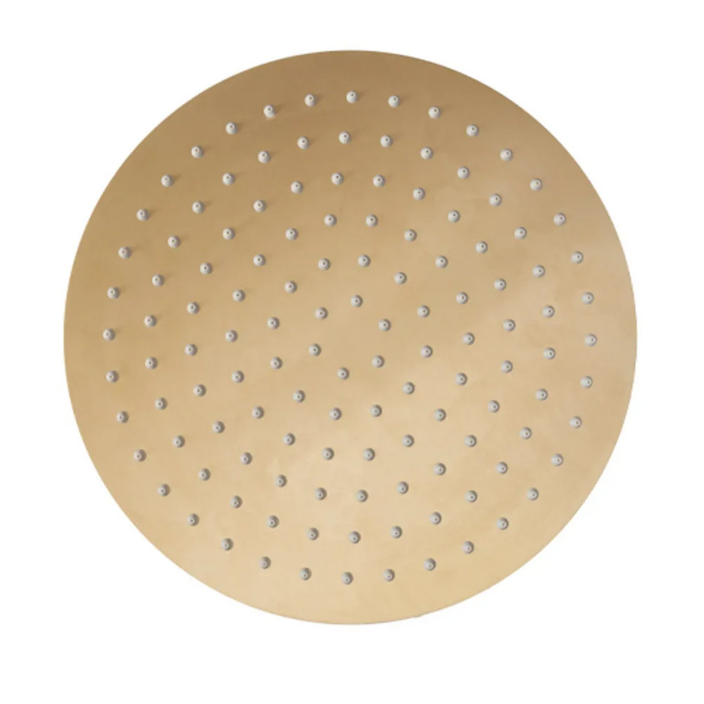 Tavistock Round 250mm Brushed Brass Shower Head