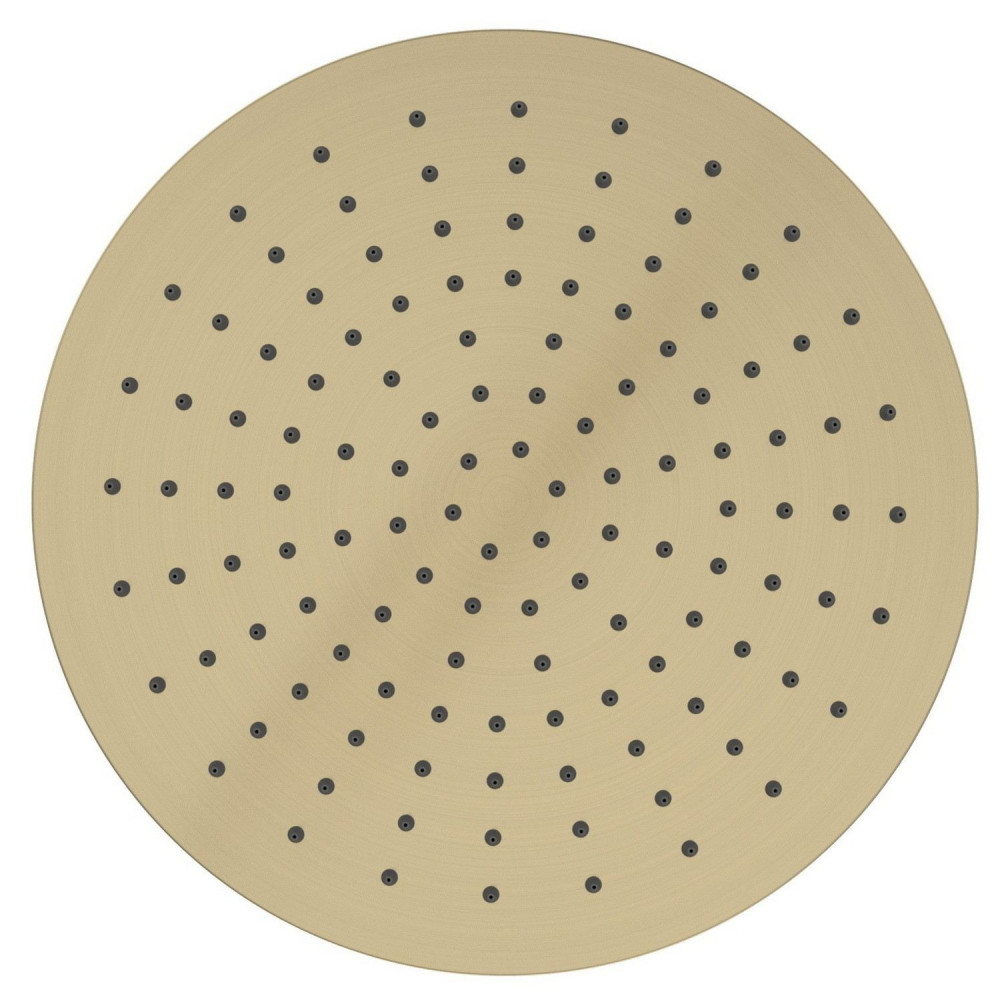 Tavistock Round Brushed Brass 250mm Shower Head