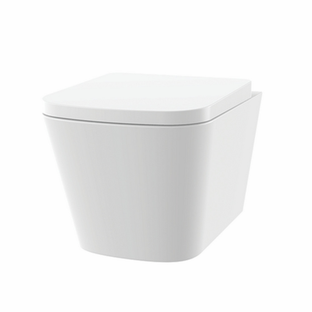 Vantara Lander Rimless Wall Hung WC and Seat