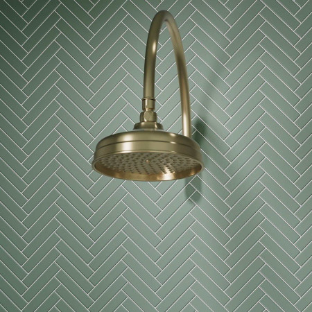 AJAX116270 Ajax Beelsby 365mm Traditional Brushed Brass Shower Arm with a Fixed Shower Head