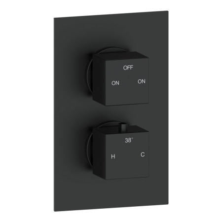 Ajax Hedon Matt Black Thermostatic Two Outlet Concealed Shower Valve