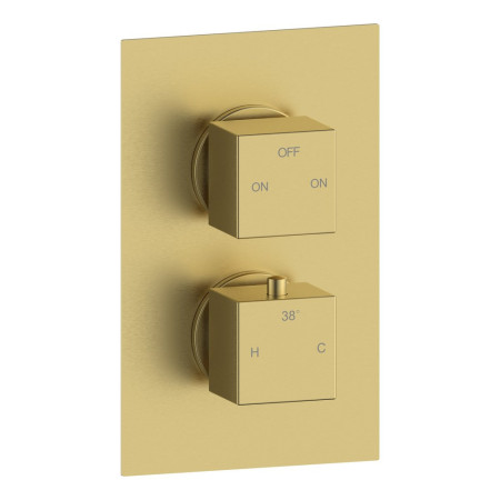 Ajax Hedon Brushed Brass Thermostatic Two Outlet Concealed Shower Valve