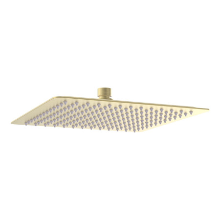 AJAX111593 Ajax Hedon Brushed Brass Square Concealed Shower Valve with Fixed Head Shower Head