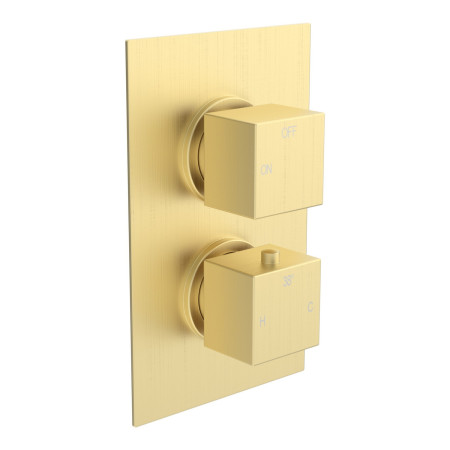 AJAX111597 Ajax Hedon Brushed Brass Square Concealed Shower Valve with Riser Kit Recessed Valve Close Up