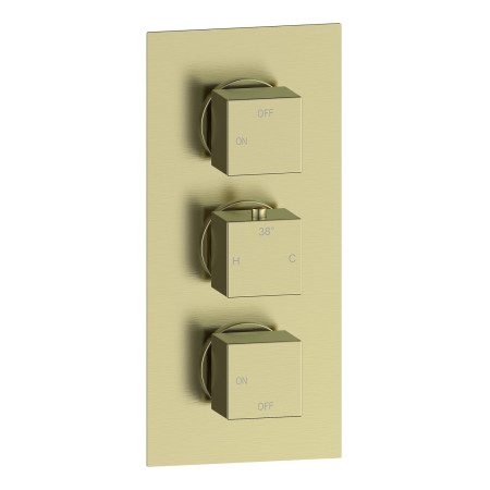 AJAX116265 Ajax Hedon Brushed Brass Square Concealed Two Outlet Shower Set Shower Valve